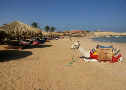 Sharm El naga Full-Day Snorkeling Tour