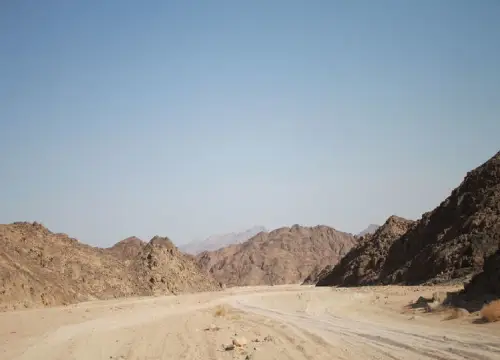 From Marsa Alam: All-in-One Super Desert Safari