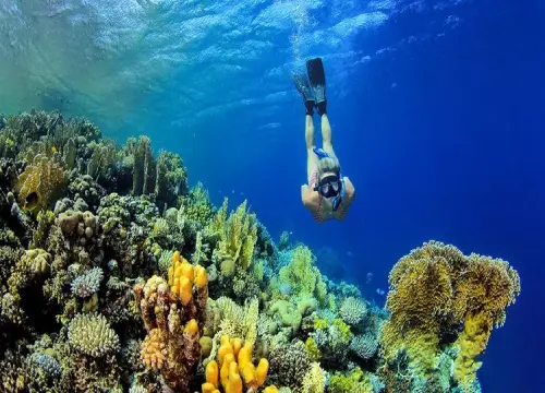 Giftun Island Snorkeling Trip