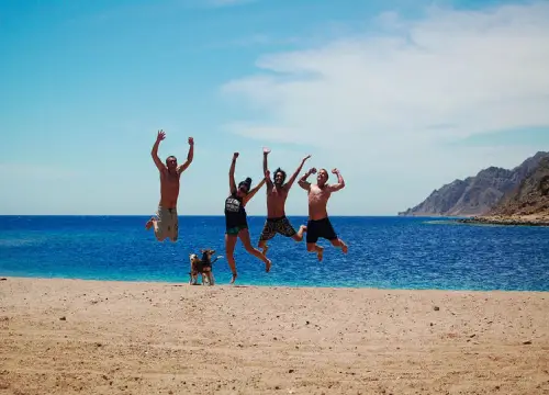 Sharm el-Sheikh Snorkel & Camel Safari at Blue Hole